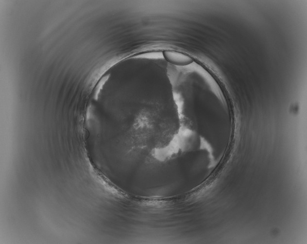 X0000111120953200907211047