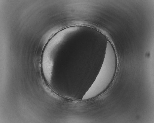 X0000111120954200907211047