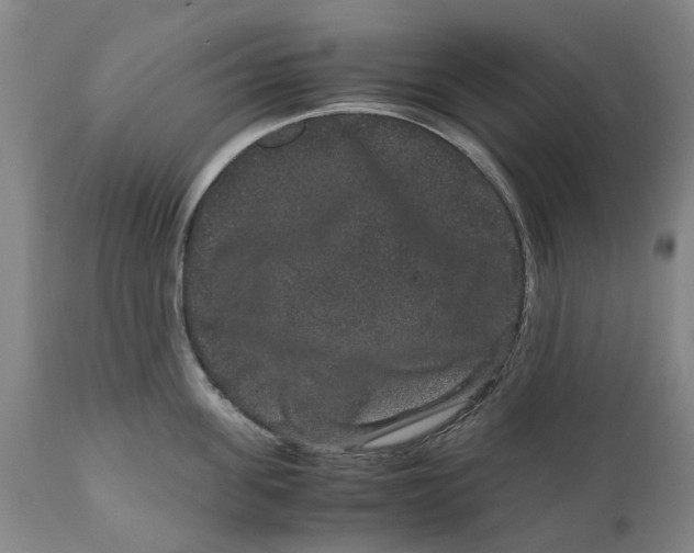 X0000111120955200907211047