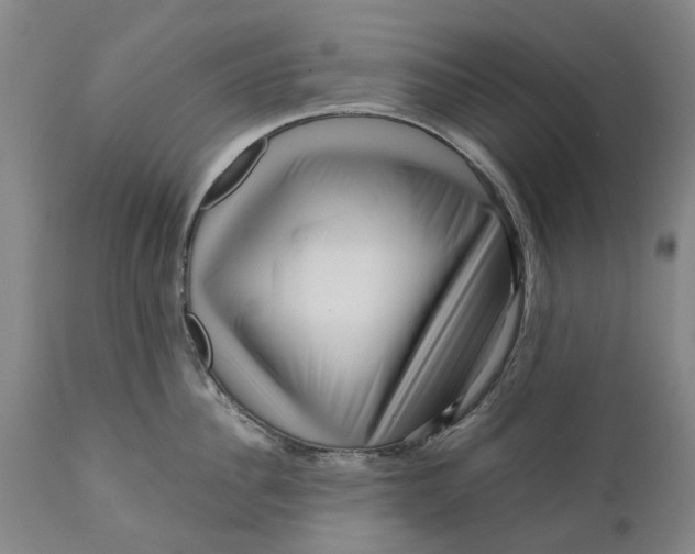 X0000111120956200907211047