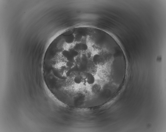 X0000111120957200907211047