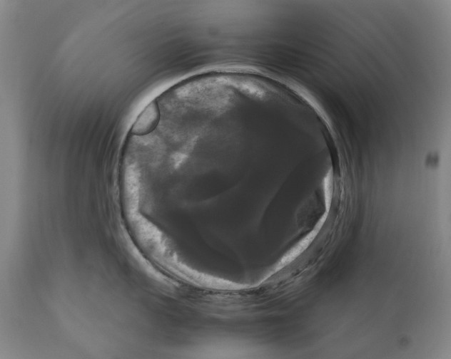 X0000111120959200907211047