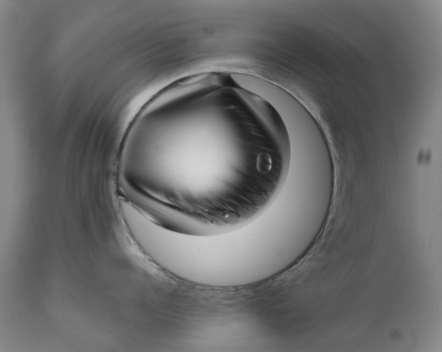 X0000111120960200907211047