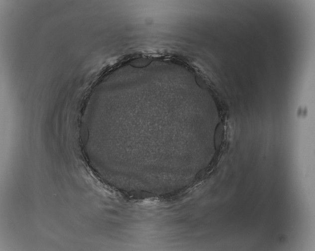 X0000111120961200907211046