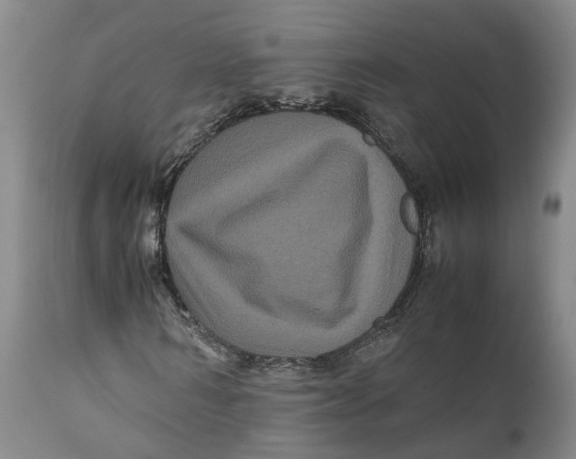 X0000111120962200907211046