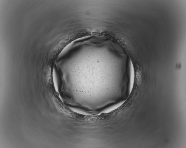 X0000111120963200907211046