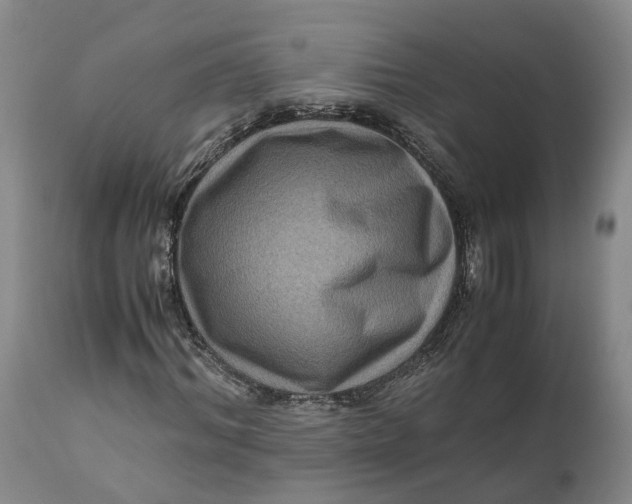 X0000111120964200907211046