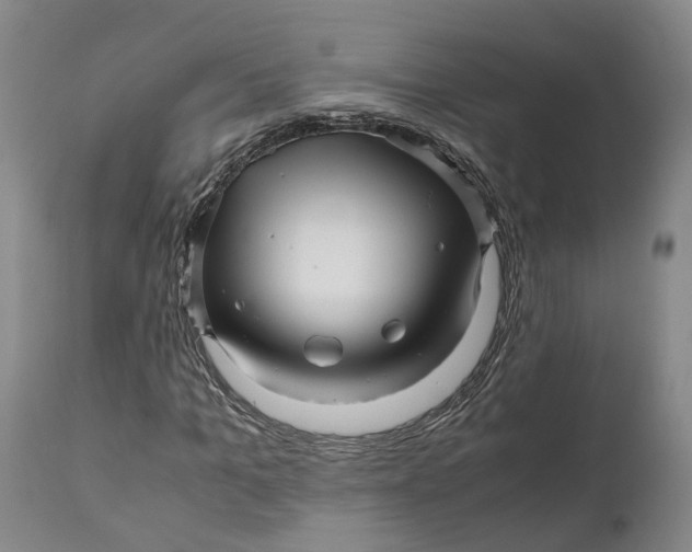 X0000111120965200907211046