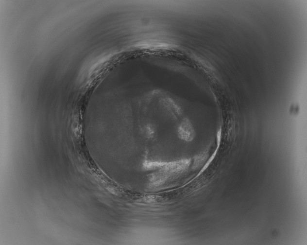 X0000111120966200907211046