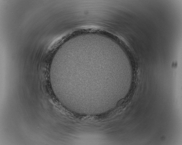 X0000111120967200907211046