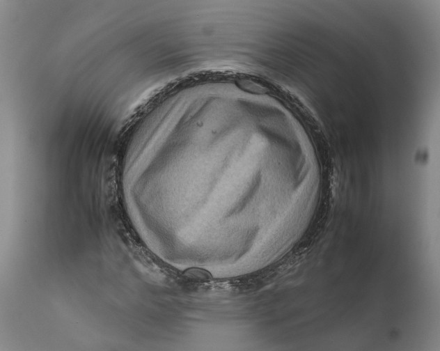 X0000111120968200907211046