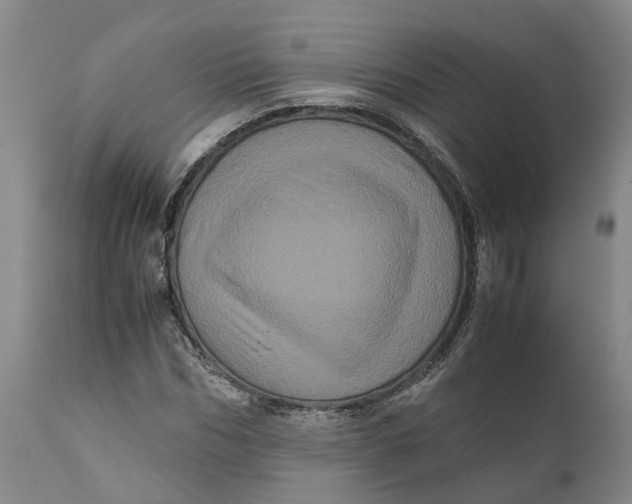 X0000111120970200907211046