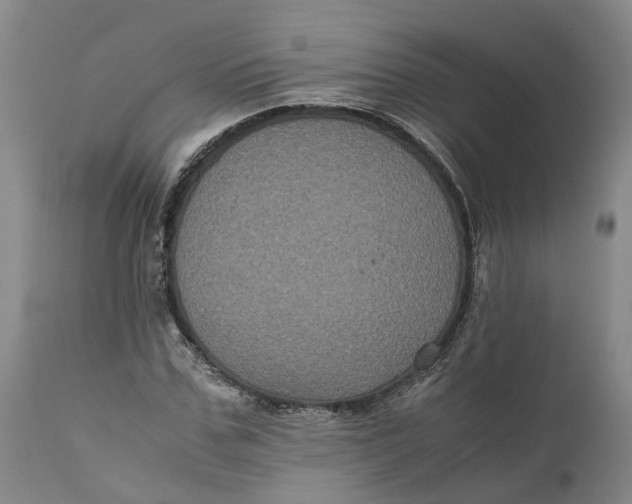 X0000111120971200907211046