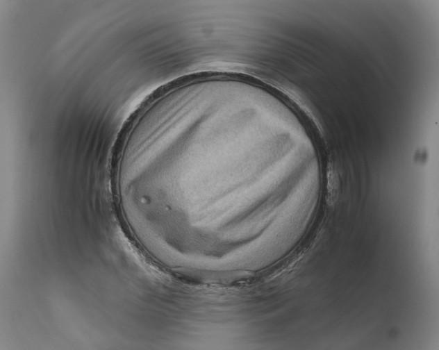 X0000111120972200907211046