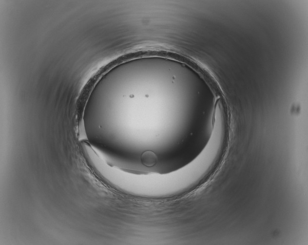 X0000111120973200907211046