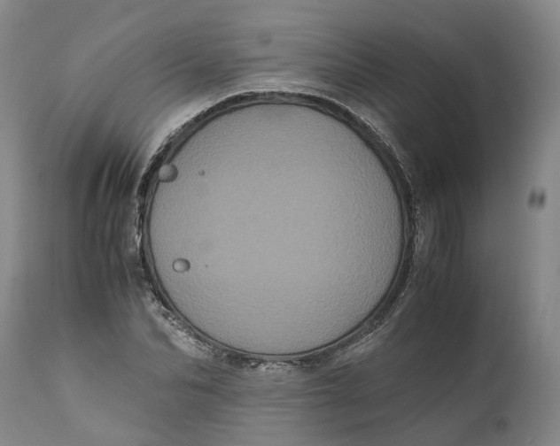 X0000111120974200907211046