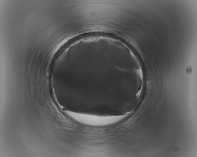 X0000111120975200907211046