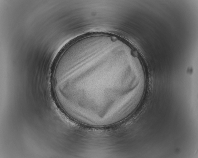 X0000111120976200907211046