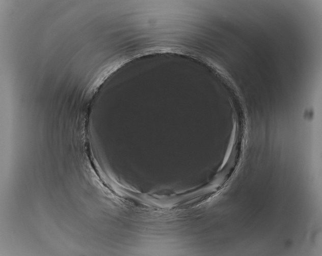 X0000111120977200907211046