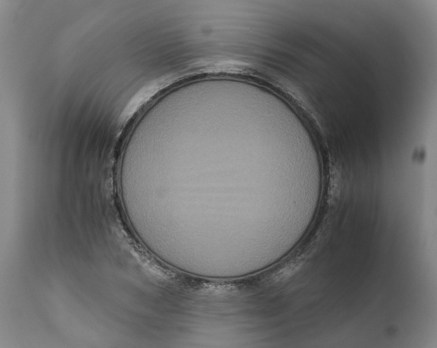 X0000111120978200907211046