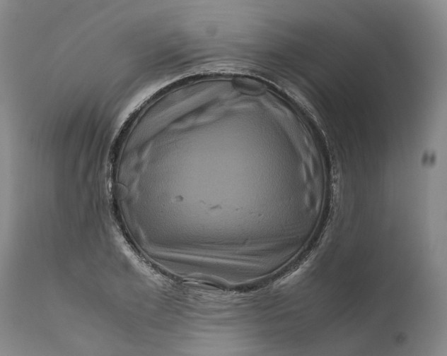 X0000111120981200907211046