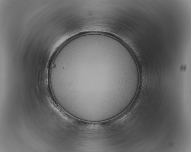 X0000111120982200907211046