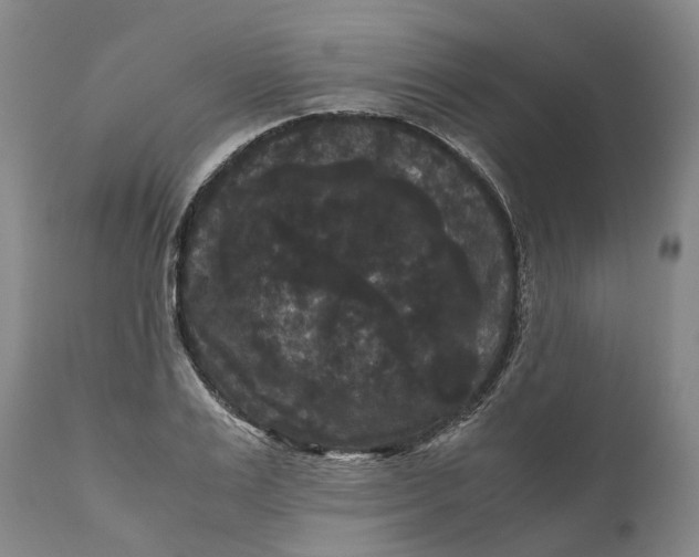 X0000111120983200907211046