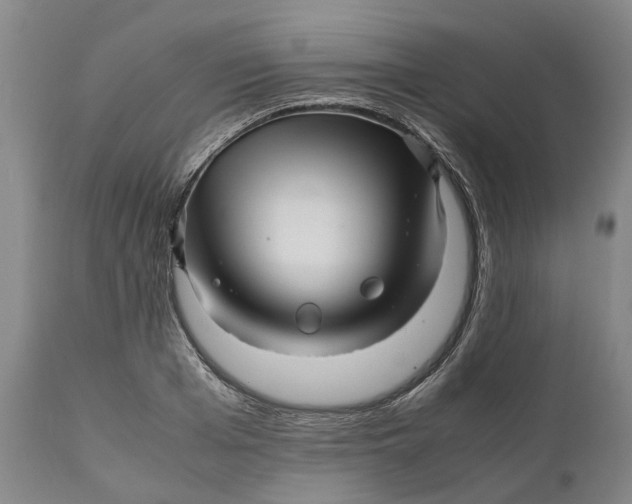 X0000111120985200907211046