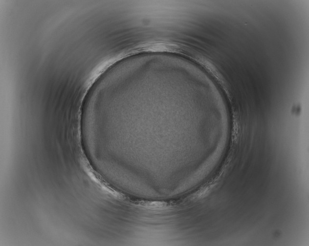 X0000111120986200907211046