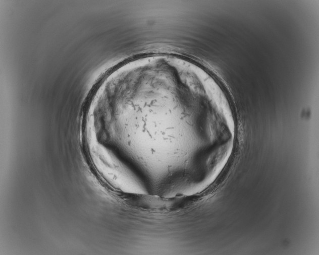 X0000111120987200907211046