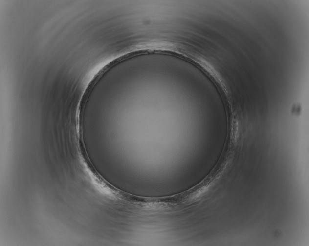 X0000111120988200907211046