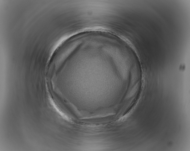 X0000111120989200907211046