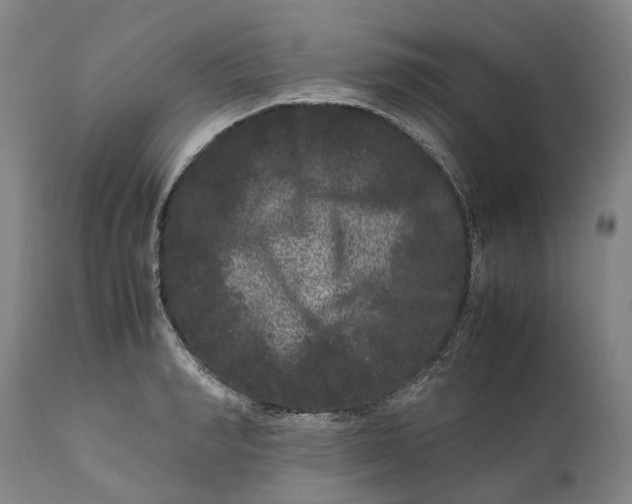 X0000111120990200907211046