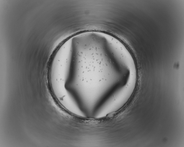 X0000111120991200907211046