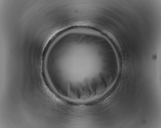 X0000111120992200907211046