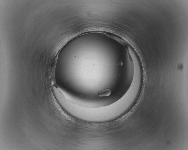 X0000111120993200907211046