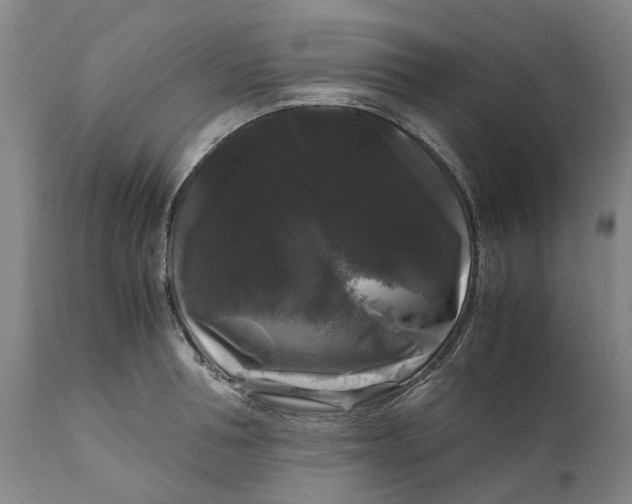 X0000111120994200907211046