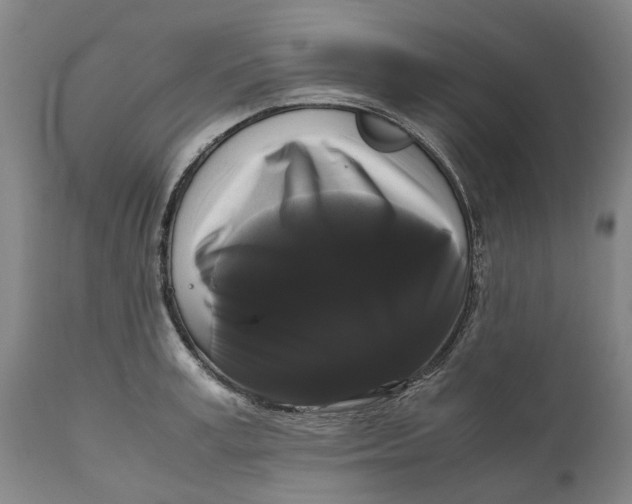 X0000111120995200907211046