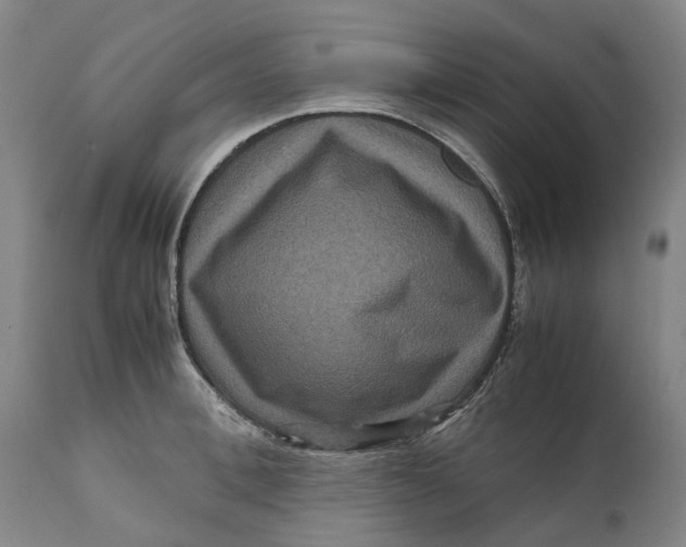 X0000111120996200907211046