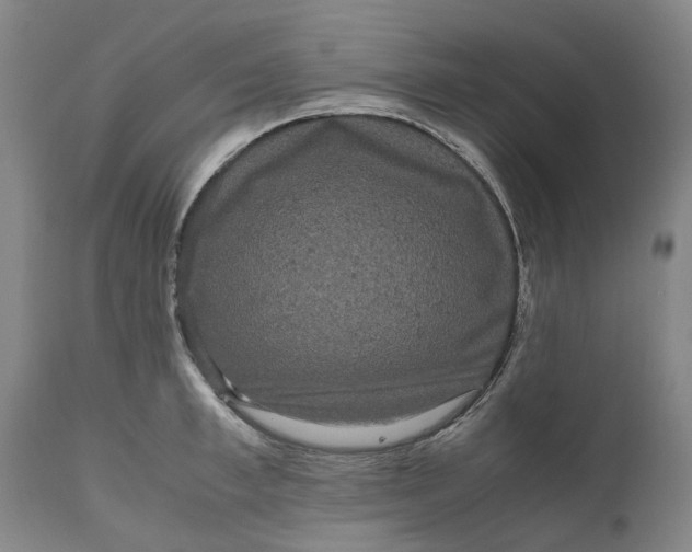 X0000111120997200907211046