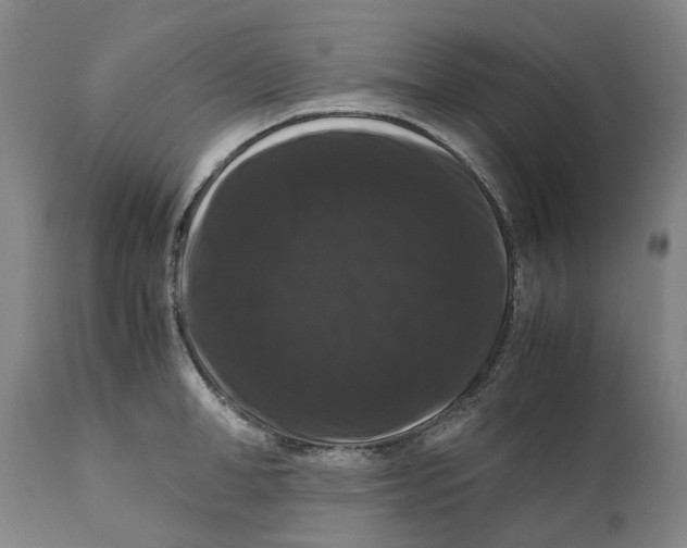 X0000111120998200907211046