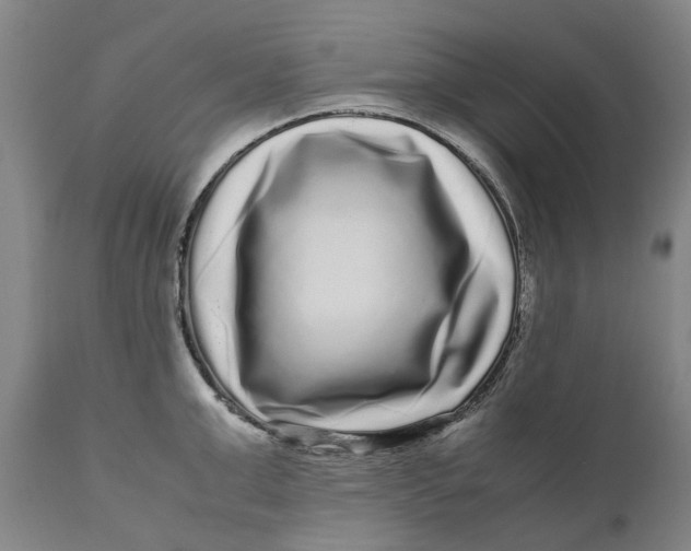 X0000111120999200907211046