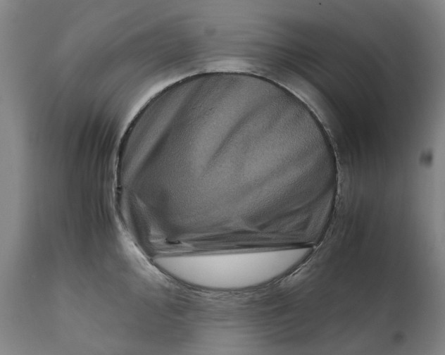 X0000111121000200907211046