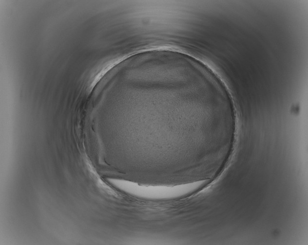 X0000111121001200907211046