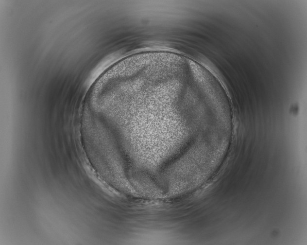 X0000111121002200907211046