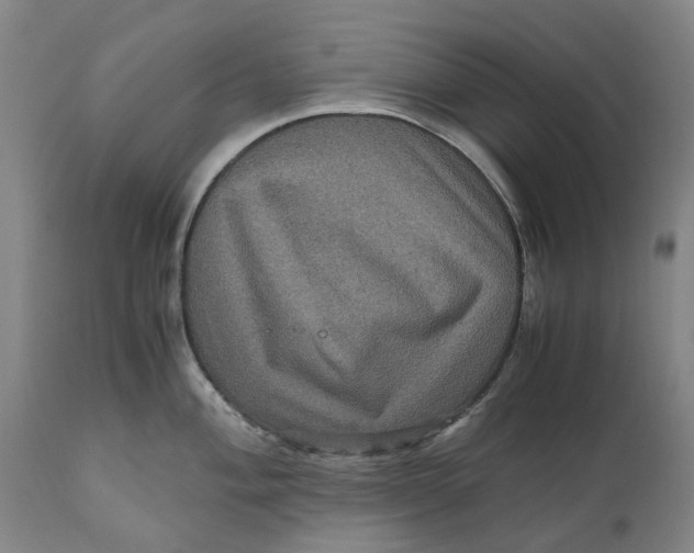 X0000111121004200907211046