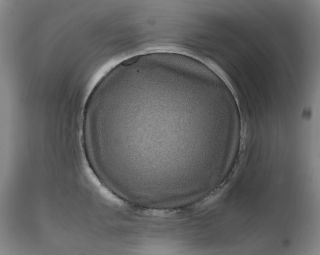 X0000111121005200907211046