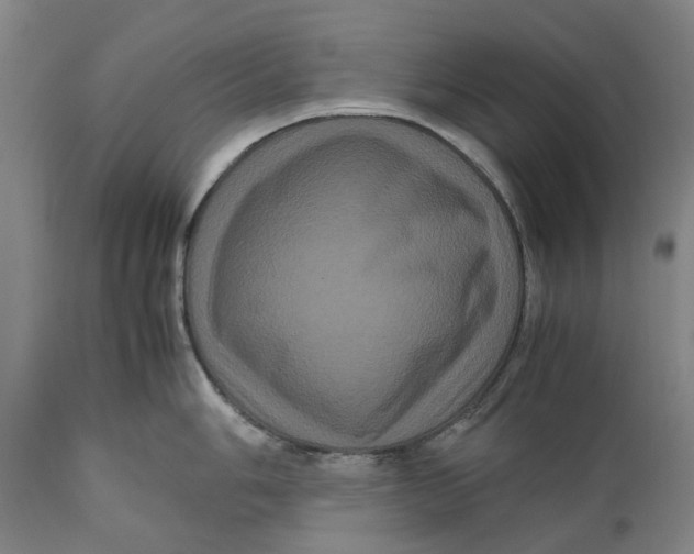 X0000111121006200907211046