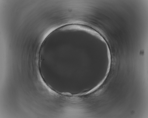 X0000111121007200907211046