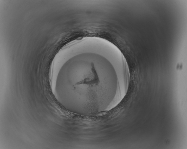 X0000111121009200907211045